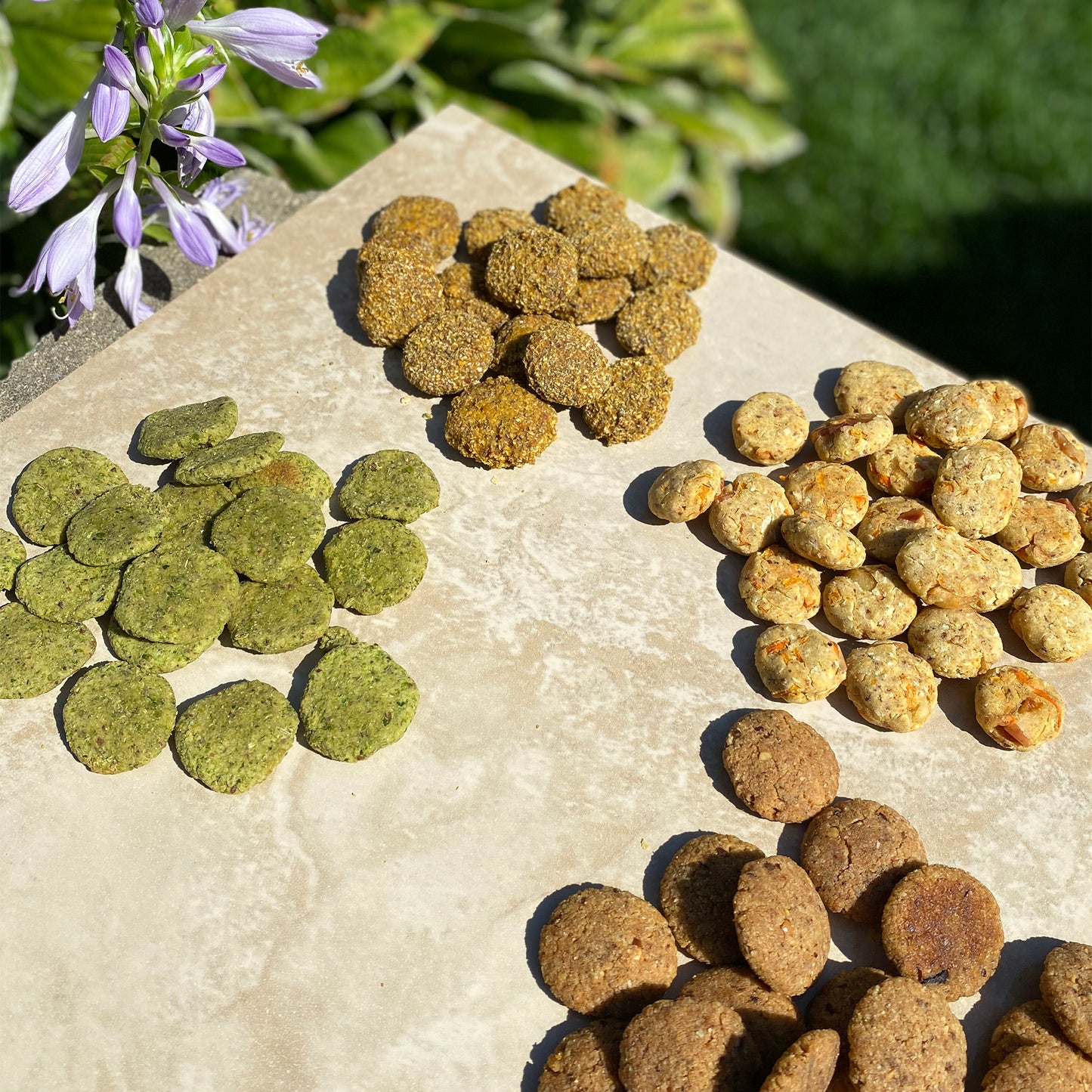 Image showcasing Wagging Companions' assortment of dog treats presented outside of their packaging. The image displays the Pumpkin Spice Oatmeal, Carrot Cake, Side Salad, and PB&B (Peanut Butter and Banana) blends, offering a visual display of the varied treats available, each designed to cater to different canine tastes and preferences.