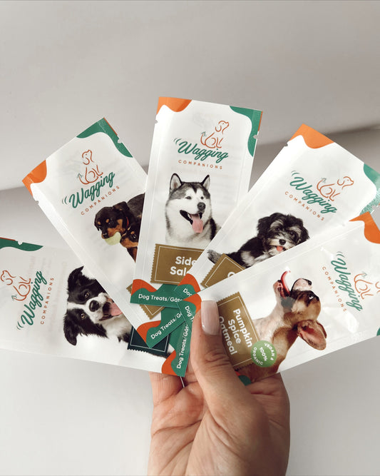 Product image displaying Wagging Companions' sampler pack featuring all 5 blends: Pumpkin Spice Oatmeal, Carrot Cake, Side Salad, PB&B (Peanut Butter and Banana), and Want a Mint?. The sampler pack provides a comprehensive view of the diverse range of flavors offered by Wagging Companions, catering to various canine tastes and preferences.