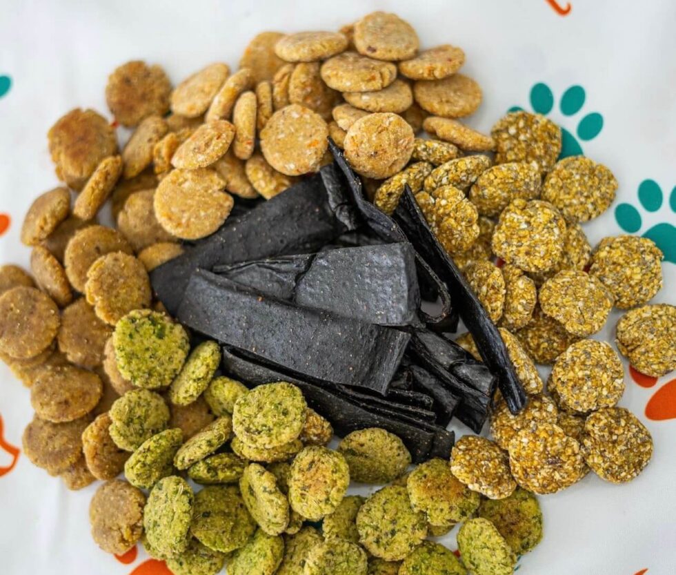 Image featuring Wagging Companions' dog treats displayed outside of their packaging. The assortment includes the Pumpkin Spice Oatmeal, Carrot Cake, Side Salad, PB&B (Peanut Butter and Banana), and Want a Mint? blends, showcasing the variety of flavors and textures offered by Wagging Companions, each crafted to cater to different canine preferences.